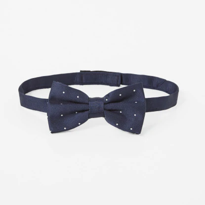 Polka dot bow tie