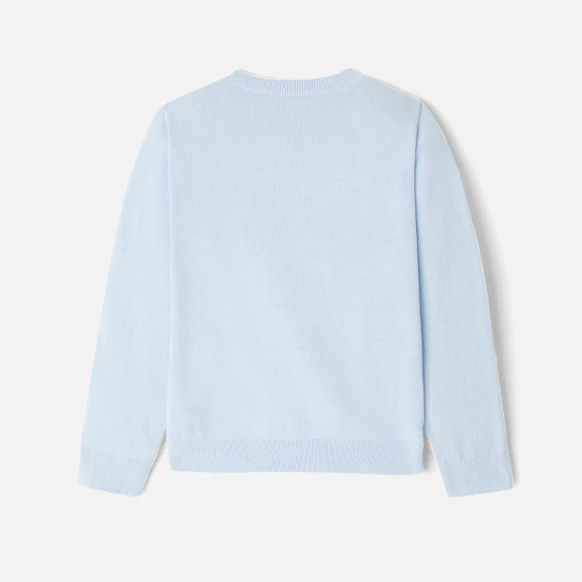 Boy jumper