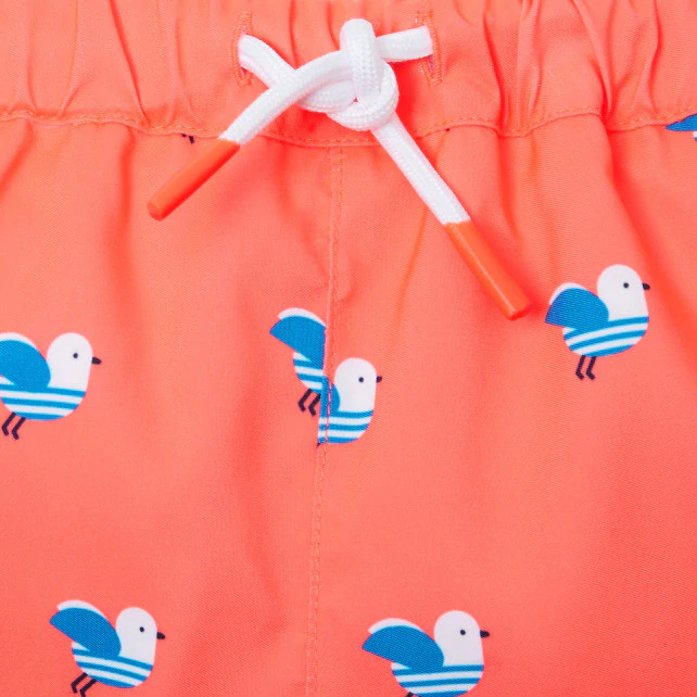 Toddler boy swim shorts