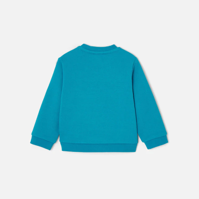 Baby boy fleece sweatshirt