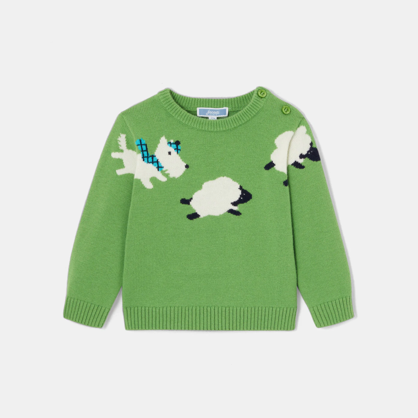 Baby boy intarsia dog sweater