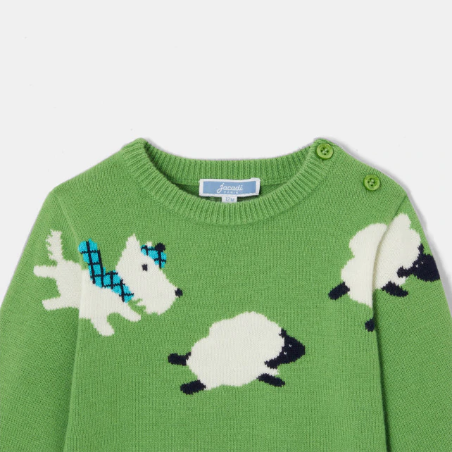 Baby boy intarsia dog sweater