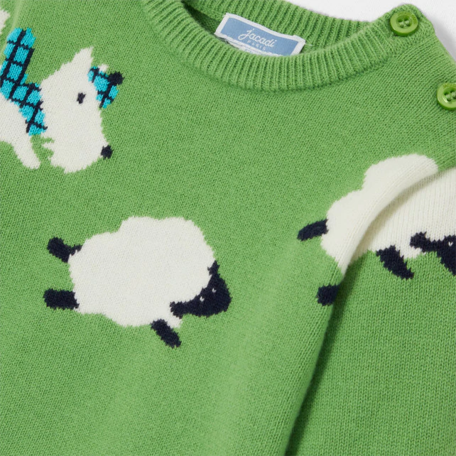 Baby boy intarsia dog jumper