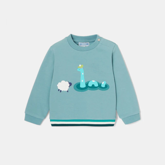 Baby boy fleece sweatshirt