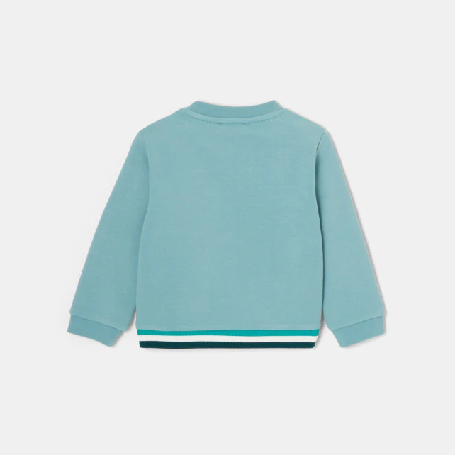 Baby boy fleece sweatshirt