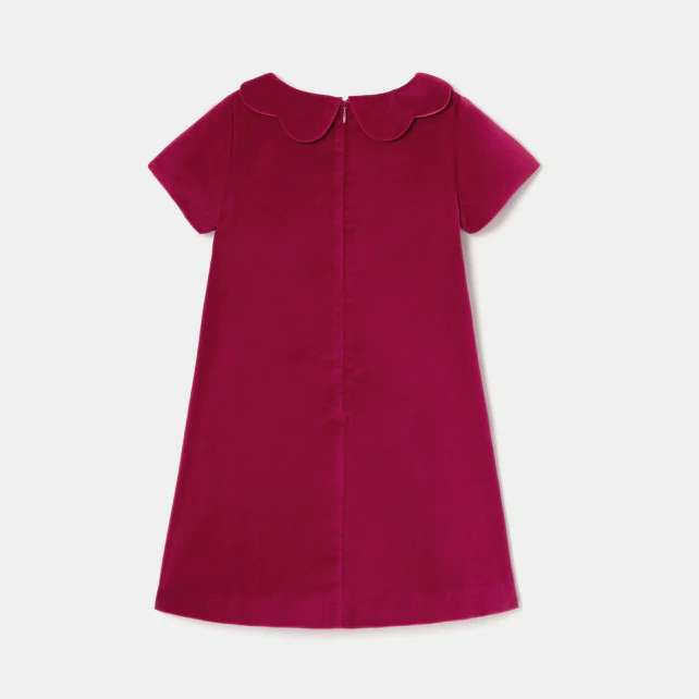 Girl velour dress