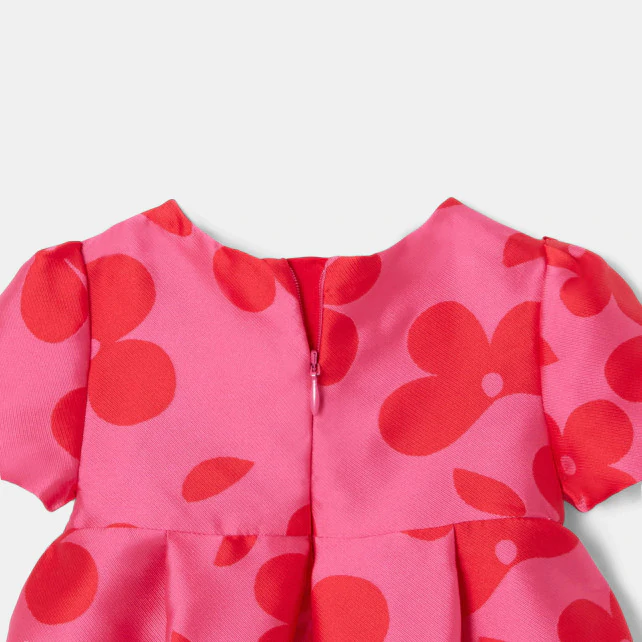 Baby girl Holiday dress