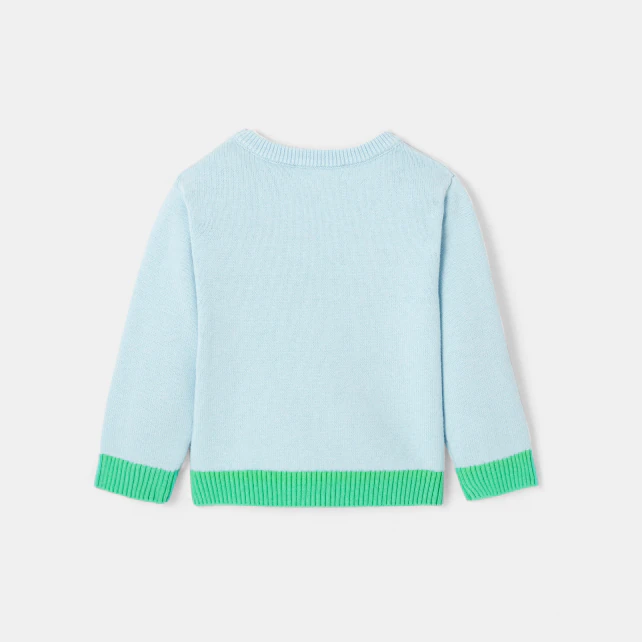 Baby boy organic cotton jumper